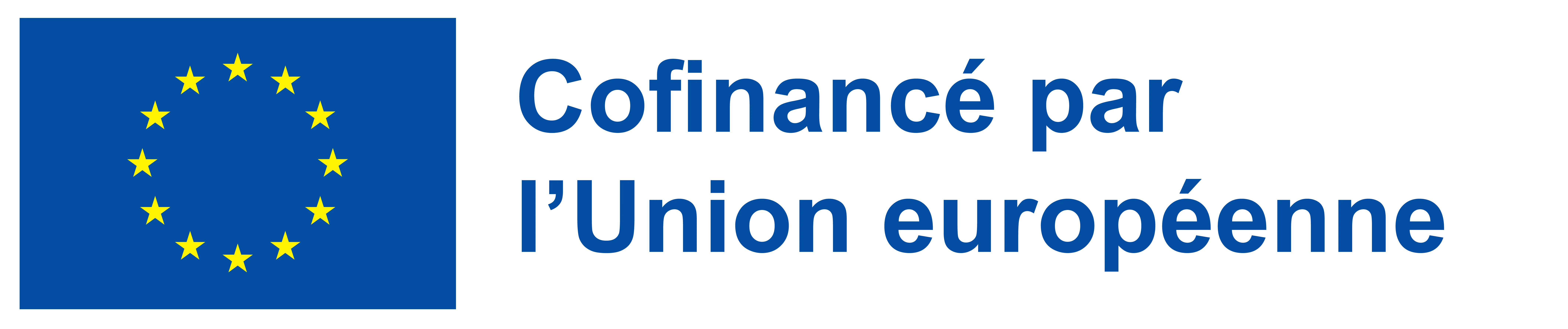 Logo FSE