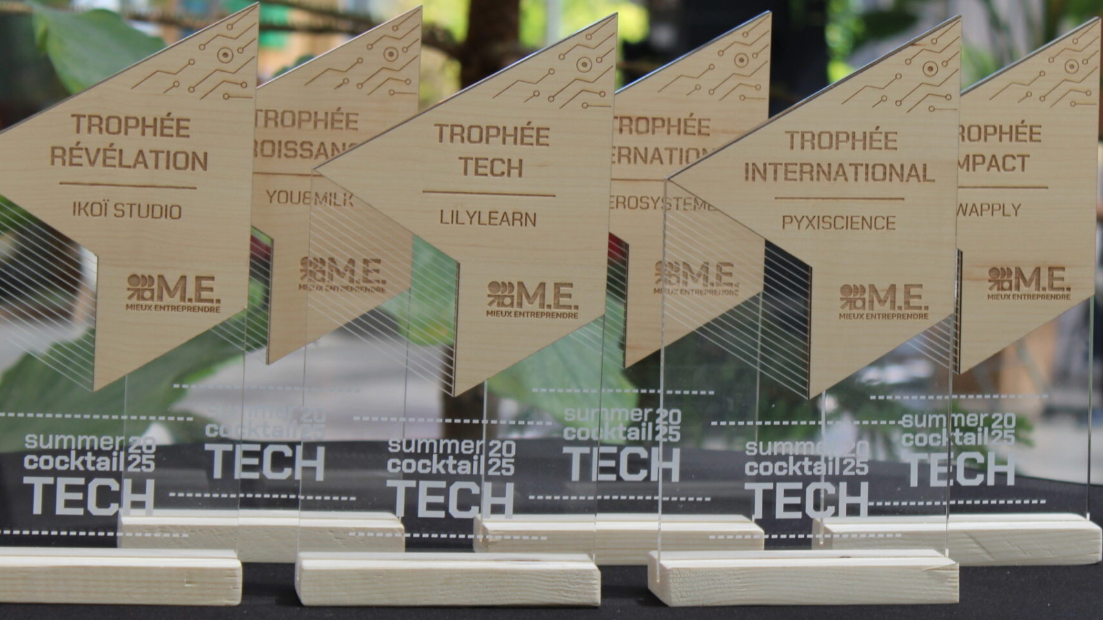 trophées insigne gravure mieux entreprendre