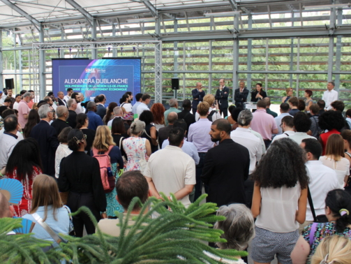 summer cocktail 2025